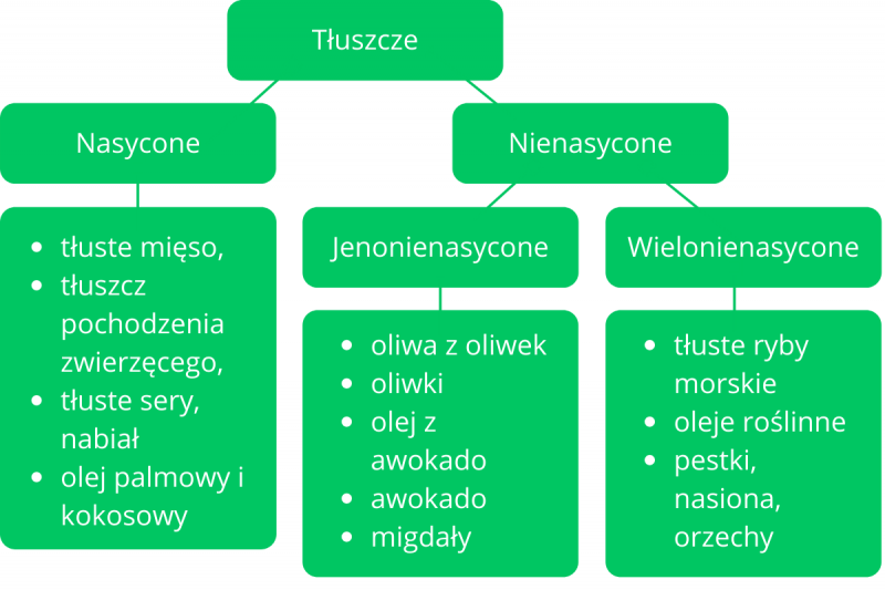 Białka Tłuszcze I Węglowodany Dostarczane W Pokarmie Są Niezbędne Białka, tłuszcze i węglowodany. Poznaj najważniejsze składniki żywności!